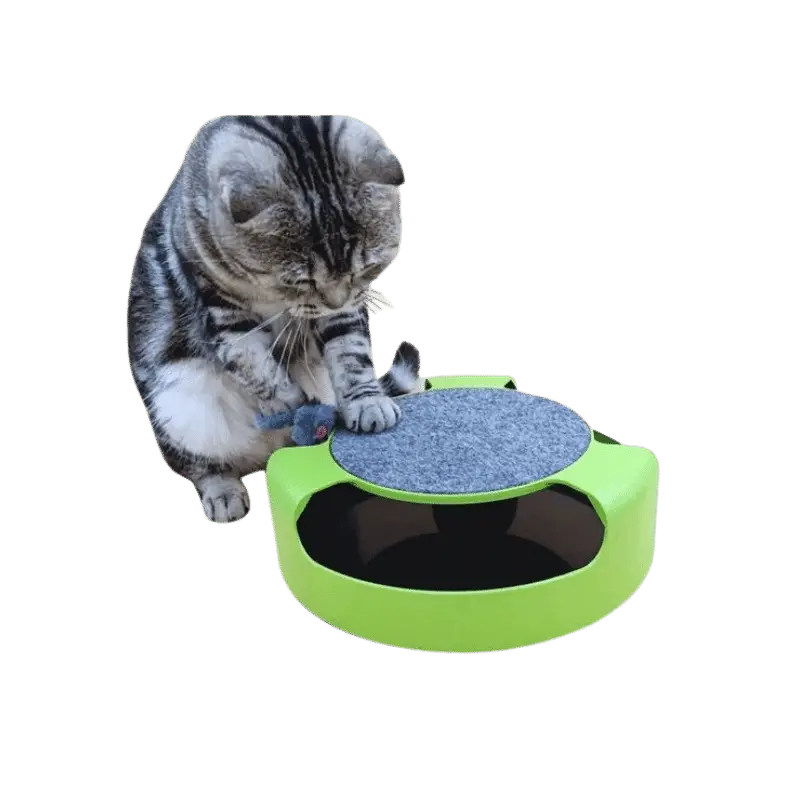 Brinquedo Interativo Para Gatos Com Arranhador