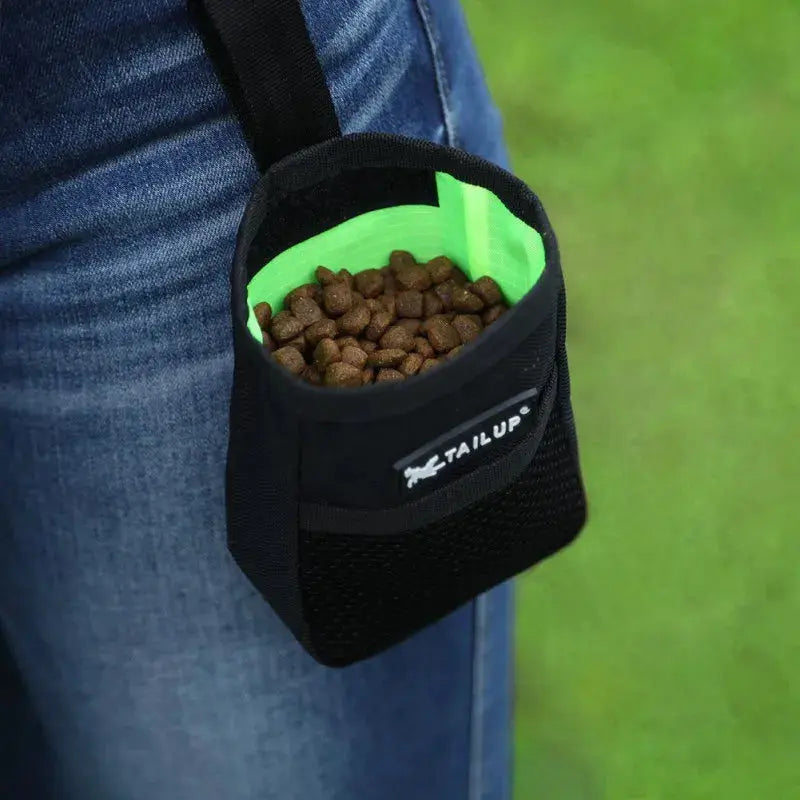 Outdoor Portable Training Dog Snack Bag Strong Wear Resistance Large Capacity Puppy Reward Bags Waist Bag Durable Pet Supplies upscaleclicks