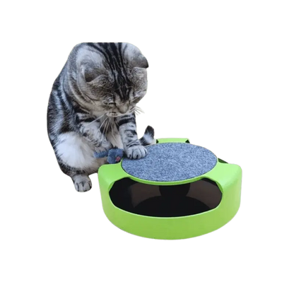 Brinquedo Interativo Para Gatos Com Arranhador