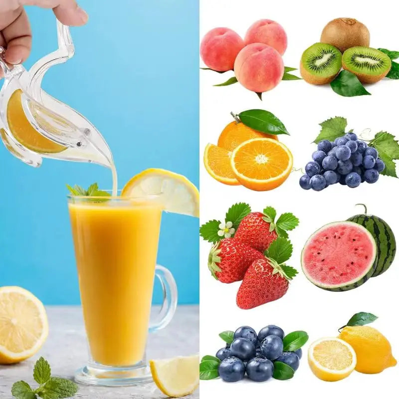 Mini Bird-Shaped Manual Juicer - Perfect for Fresh Orange & Lemon Juice on the Go! 🍊🍋✨