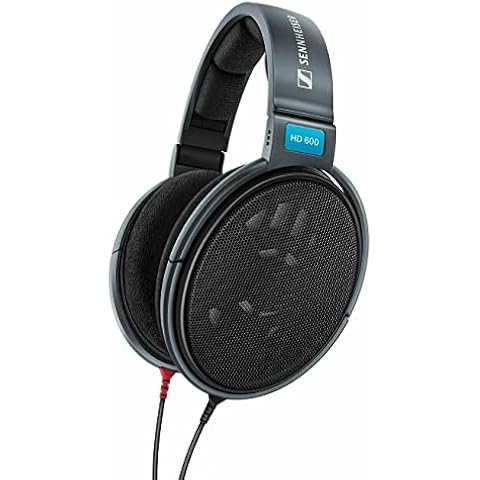 Sennheiser Consumer Audio HD 600 - Audiophile Hi-Res Open Back Dynamic Headphone, Black